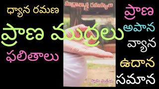 ప్రాణ ముద్రలు ఫలితాలు prana mudras and their benefits [upl. by Clarkin]