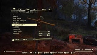 Fallout 76 Healing SalveForrest Easy CraftingLocation Free Stimpack effect [upl. by Buffy]