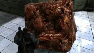 gears of war MEAT CUBE [upl. by Ahc751]