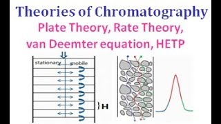 Plate theory Rate theory van Deemter equation HETP Theories of Chromatography [upl. by Skylar]