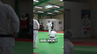 Cest quel KATA  karate [upl. by Nnyre]