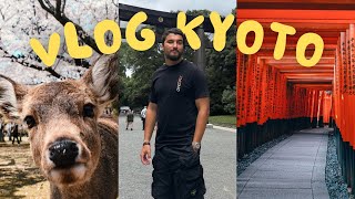 VLOG  JAPON2  ON NE S’ATTENDAIT PAS À VIVRE ÇA À KYOTO  NARA [upl. by Beattie]