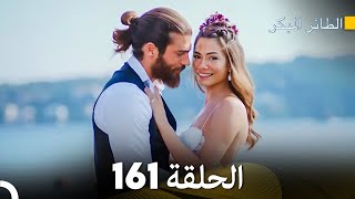 مسلسل الطائر المبكر الحلقة 161 النهائي Arabic Dubbed  FULL HD [upl. by Buehrer59]