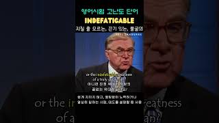 단어 Indefatigable adj [upl. by Ahsas]