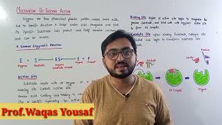 Mechanism of Enzyme action  Enzymology [upl. by Ion]