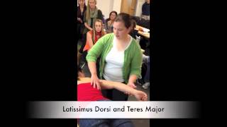 Manual Muscle Test for Latissimus Dorsi and Teres Major [upl. by Vtehsta]