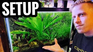 How to Set Up a Planted Aquarium  Live Plants for Beginners [upl. by Sirap]