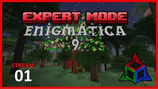 Enigmatica 9 EXPERT Mode  Day 1 Stream VOD [upl. by Sibby]