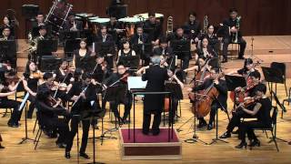 J Sibelius Violin Concerto in D minor op 47 III Allegro ma non tanto arr by D Bouriakov [upl. by Nylrebma]