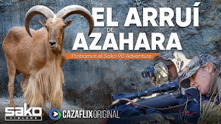 CAZA DE ARRUÍ A RECECHO CON AZAHARA 🐐 Probamos el rifle SAKO 90 ADVENTURE [upl. by Llertnod840]