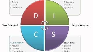 DISC Assessment [upl. by Zerimar90]