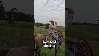 Rotational Grazing  Smiling Bovine Ranch [upl. by Adev523]