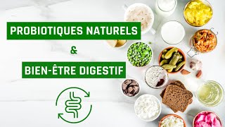 Les probiotiques naturels et le bienêtre digestif [upl. by Onstad85]