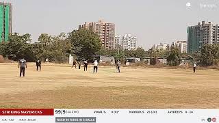 Live Cricket Match  Black Panthers vs Striking Mavericks  03Feb24 1100 AM 14 overs  Volansys P [upl. by Gert710]