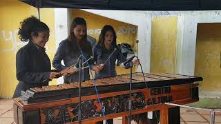 Marimba femenina de Malacatancito Huehuetenango [upl. by Ayidah]