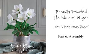 French Beaded Helleborus Niger  the quotChristmas Rosequot  Part 6 Assembly [upl. by Chafee]