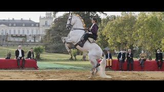 Château Ducru Beaucaillou  Démonstration de Léa Vicens [upl. by Intyre]