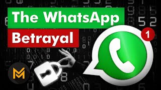 How WhatsApp Makes Money The INSANE Story of WhatsApp [upl. by Akinorev]