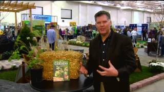 Learn about straw bale gardening at Garden Expo [upl. by Rabah81]