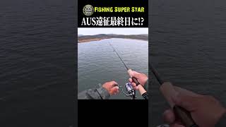 オーストラリア遠征４日目にしてトラウトラッシュ！？ shorts trout [upl. by Ahsal]