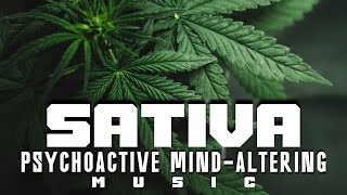 Sativa Psychoactive MindAltering Music Background [upl. by Bradwell449]