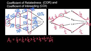 Coefficient of Relatedness and Coefficient of Inbreeding Explained [upl. by Aldercy715]