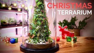 Make a stunning Christmas Tree Terrarium with live moss and plants [upl. by Kirstyn]