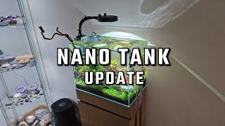 Nano planted tank update  Week 10  11 Non C02 UNS45T [upl. by Hally]