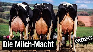 MilchMythos Das irre Geschäft der Molkereien  extra 3  NDR [upl. by Lewert282]