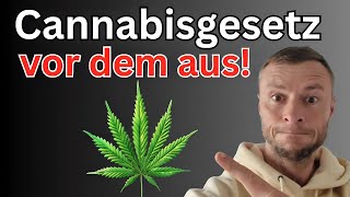 Ist das Cannabisgesetz ein APRILSCHERZ 🤯 [upl. by Sherwood]