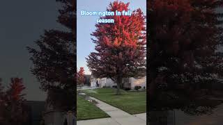 Bloomington in Fall season [upl. by Adest]