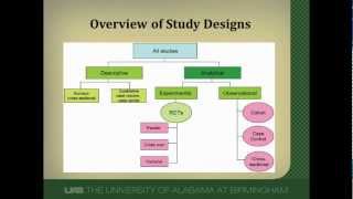 Cohort Studies A Brief Overview [upl. by Girardo601]