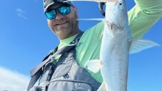 Squatch goes fishing in Matagorda bay [upl. by Tallu972]