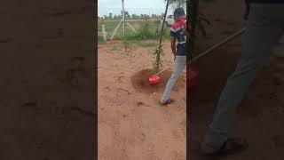 Backpack Brush Cutter  Weeder Attachment [upl. by Ellehcyt]