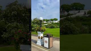 Beautiful Lilacs In Bloom  Mackinac Island Lilac Festival mackinacisland lilac flowers [upl. by Stronski]