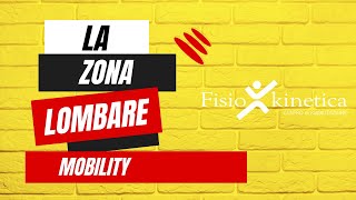 Fisiokinetica Ecco alcuni esercizi di mobilità di zona lombare e schiena [upl. by Weitzman]