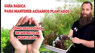 Guía básica para mantener acuarios 🌿plantados ☘️ SUSTRATOS NUTRITiVOS [upl. by Asennav]