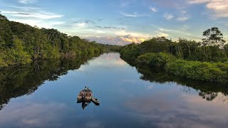 Nature at its finest at the coesewijne river  Suriname [upl. by Allisan]