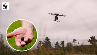 How Tree Planting Drones Work  WWFAustralia [upl. by Edvard]