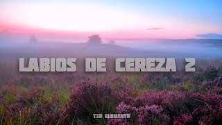 Labios De Cereza 2  T3R Elemento [upl. by Ahsenot]