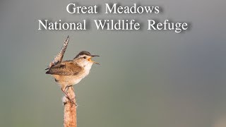 Great Meadows NWR [upl. by Tenner]