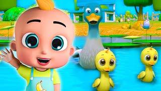 5 Colorful Rainbow Little Ducks and More Nursery Rhymes  Newborn Baby Songs amp Kids Songs [upl. by Miriam]