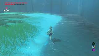 BOTW Clear all levels of trial of the sword in 30 minutes using shield clipping method [upl. by Thibault]