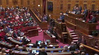 Nouvelle Calédonie  le Sénat vote l’élargissement du corps électoral aux élections provinciales [upl. by Nitsruk]