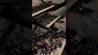 Live with Quasimidi Sirius Elektron Digitakt Behringer TD3 Jomox Mbase amp more 11 techno [upl. by Ahselrac357]