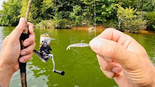 Ultralight Fishing with Gulp Minnows  3 Hours RAW and UNCUT [upl. by Nyladnarb112]