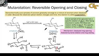 1605 Anomers Mutarotation and the Anomeric Effect [upl. by Nahtanaoj998]