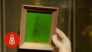 The LaserBased Science Behind 3D Holograms [upl. by Ssenav]