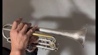 “And They Called It Dixieland” played by a trumpet made 1923 100年前の🇺🇸B♭Cトランペットで100年前のディキシーの曲を吹いてみた [upl. by Horst]