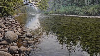 Painting a Realistic River With Acrylic Time Lapse 90 [upl. by Eliathan646]